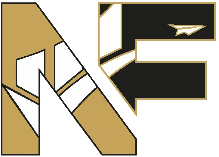 National Finance icon logo